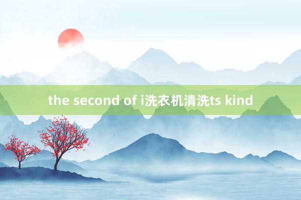 the second of i洗衣机清洗ts kind